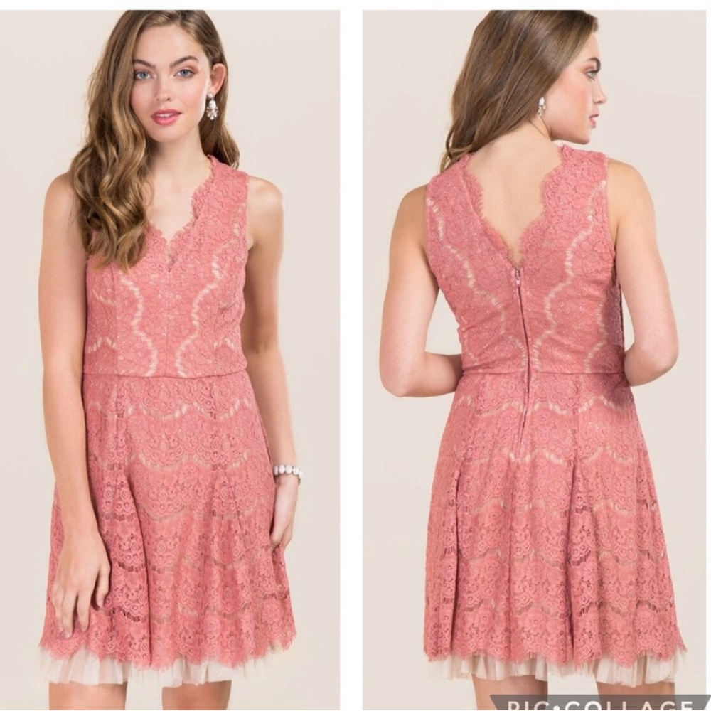 Francesca’s Pink Lace V-neck Dress with Tulle Hem